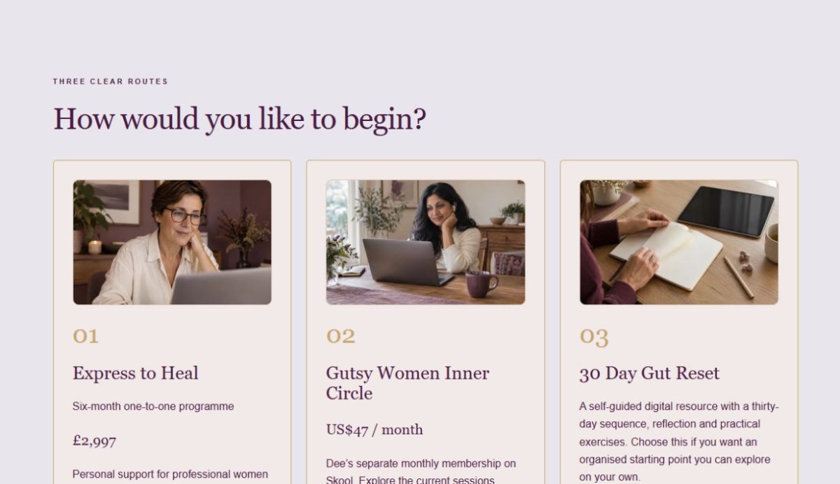 Next Level website services preview